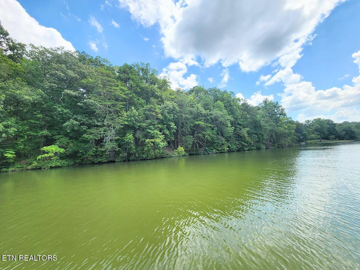 128 Hart Orchard Road Kingston, TN 37763 - Photo 9 of 25 Drone