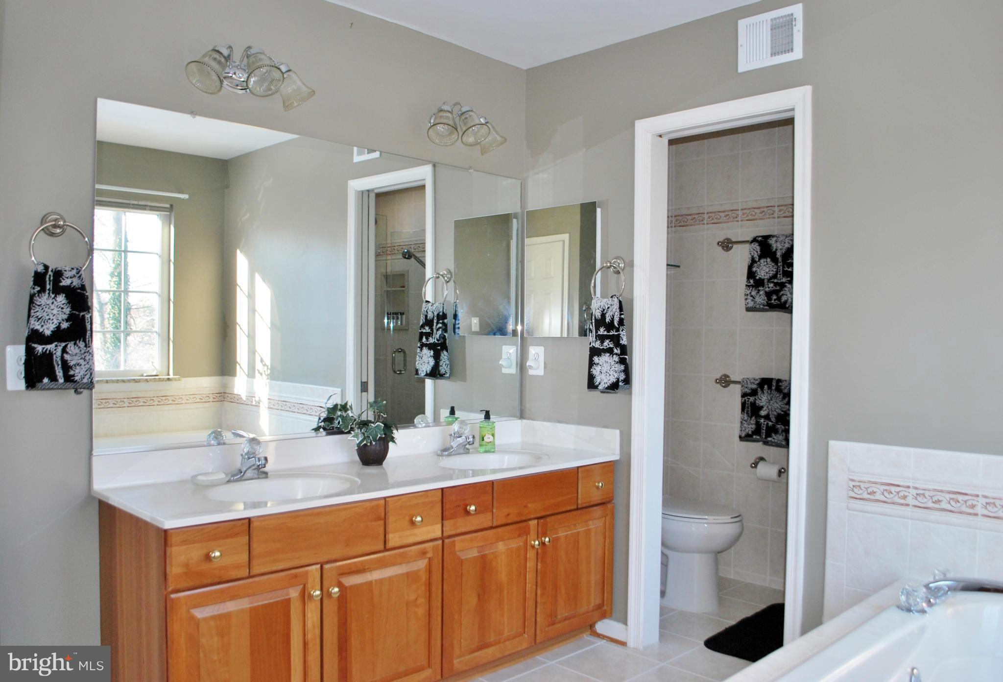15526 Thompson Road Silver Spring, MD 20905 - Photo 21 of 30 Bath (Master)