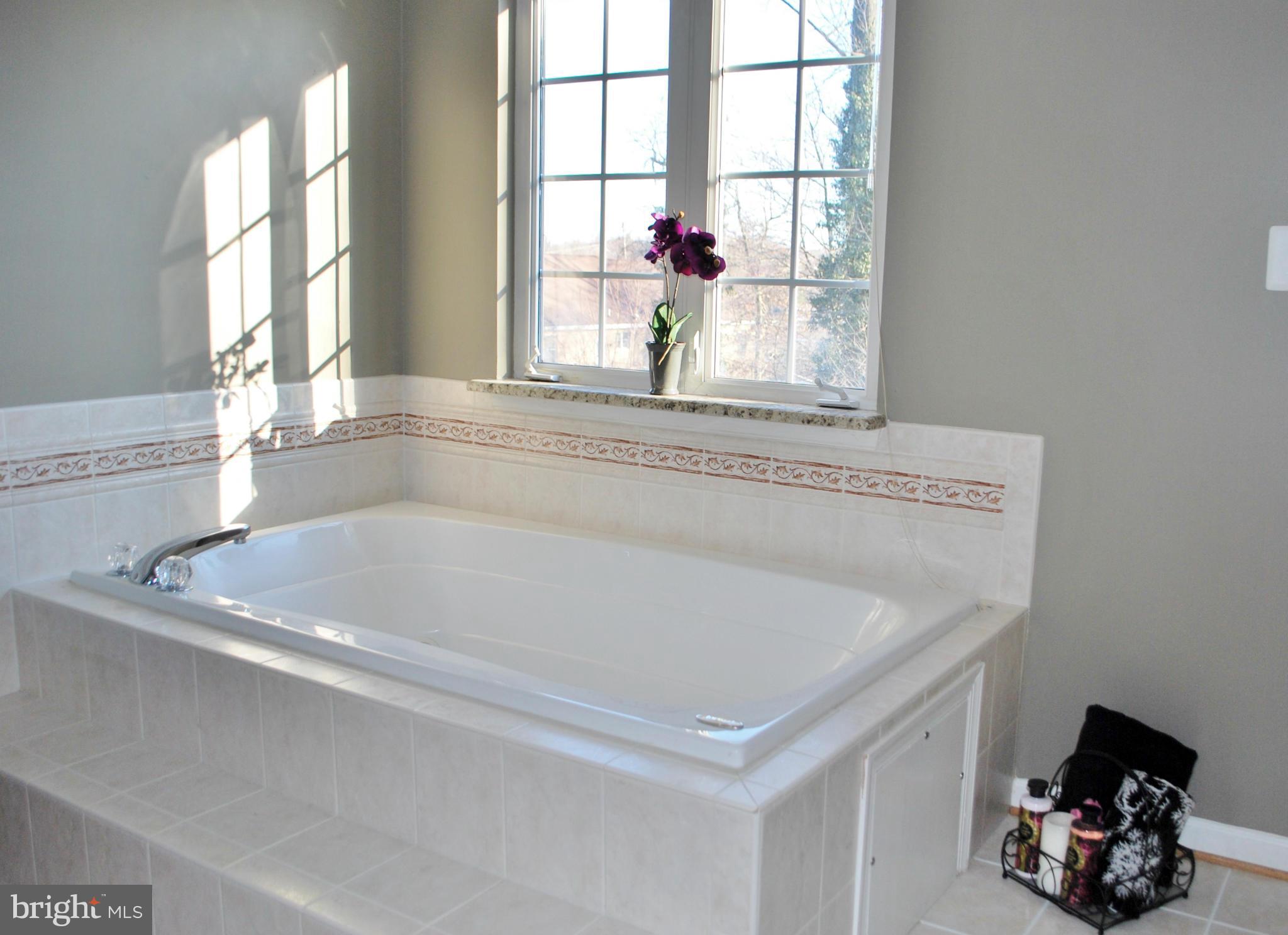 15526 Thompson Road Silver Spring, MD 20905 - Photo 22 of 30 Bath (Master)
