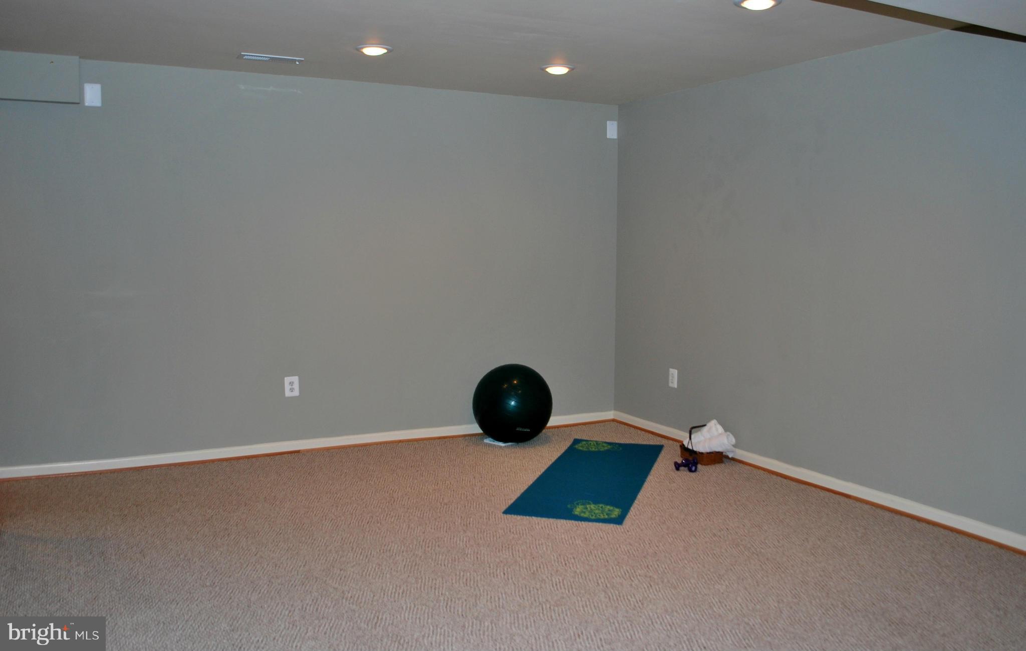 15526 Thompson Road Silver Spring, MD 20905 - Photo 28 of 30 Rec Room