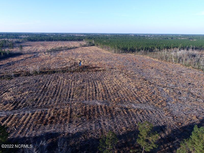 0 Loop Road Bolton, NC 28423 - Photo 3 of 17 DJI_0615