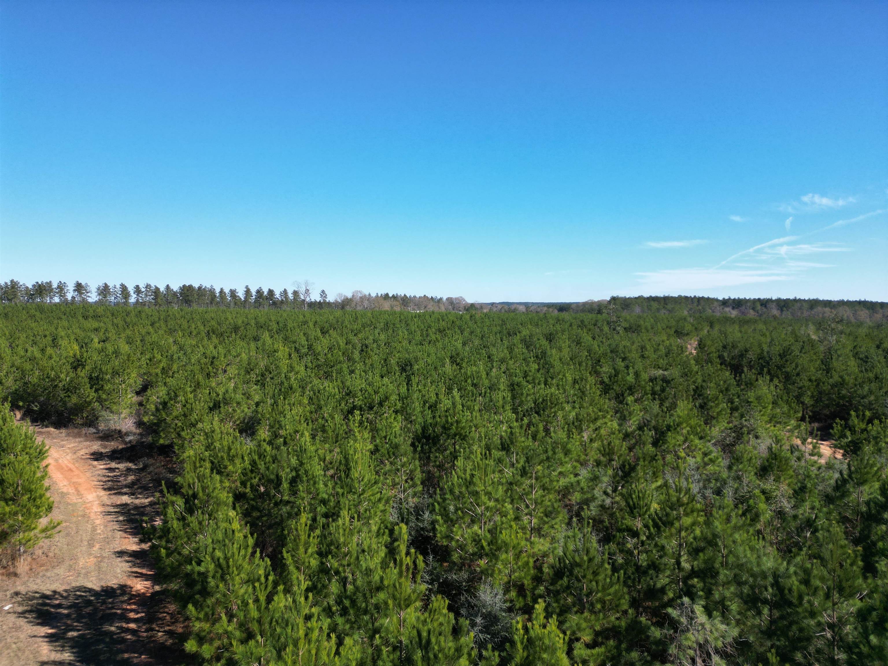 Lot 5 Robinsonville Road Atmore, AL 36502 - Photo 14 of 18
