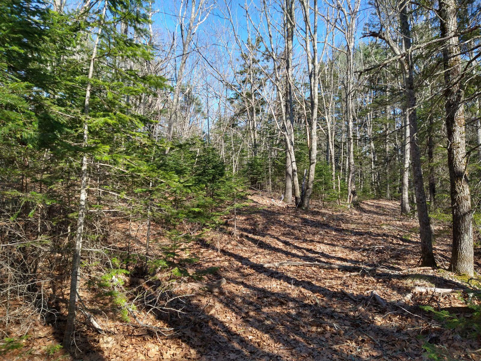 L11 Old County Road Bristol, ME 04539 - Photo 7 of 11 image000000