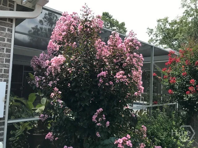 $599,000 | 139 South Effingham Plantation Drive, Guyton, GA 31312