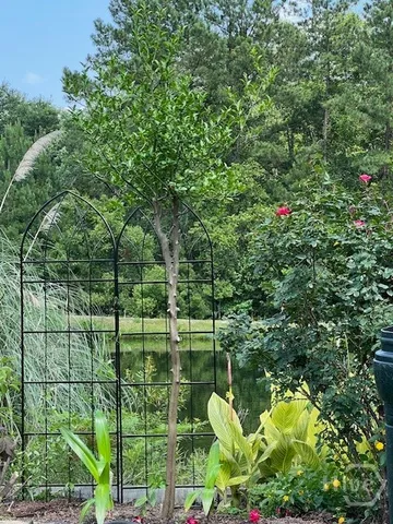 $599,000 | 139 South Effingham Plantation Drive, Guyton, GA 31312