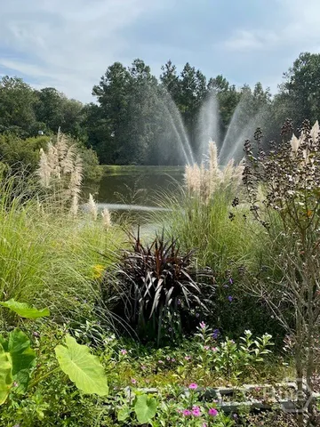 $599,000 | 139 South Effingham Plantation Drive, Guyton, GA 31312