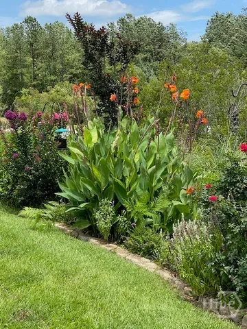 $599,000 | 139 South Effingham Plantation Drive, Guyton, GA 31312