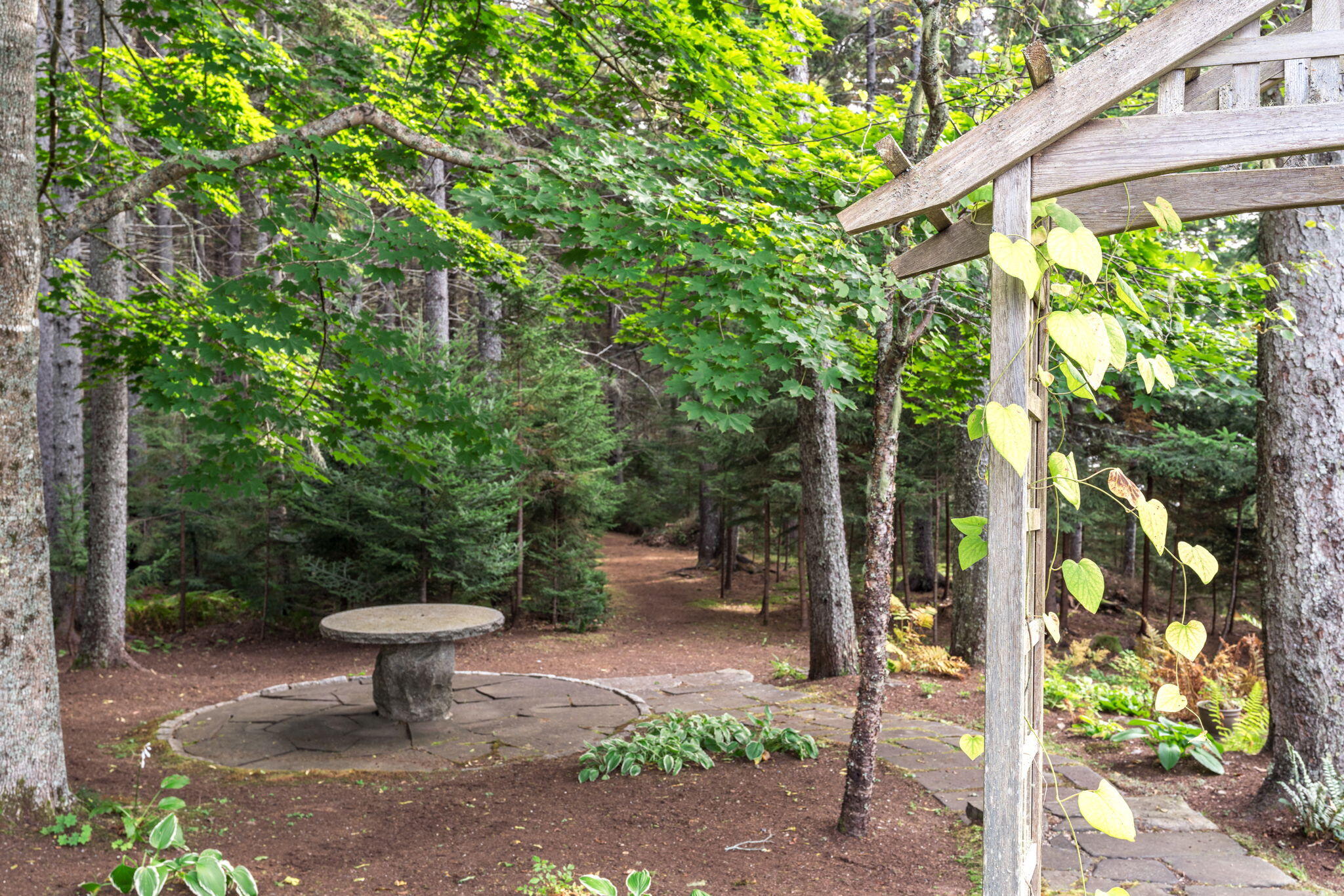 31 Harbor Road Brooksville, ME 04617 - Photo 108 of 126 Gorgeous Trails
