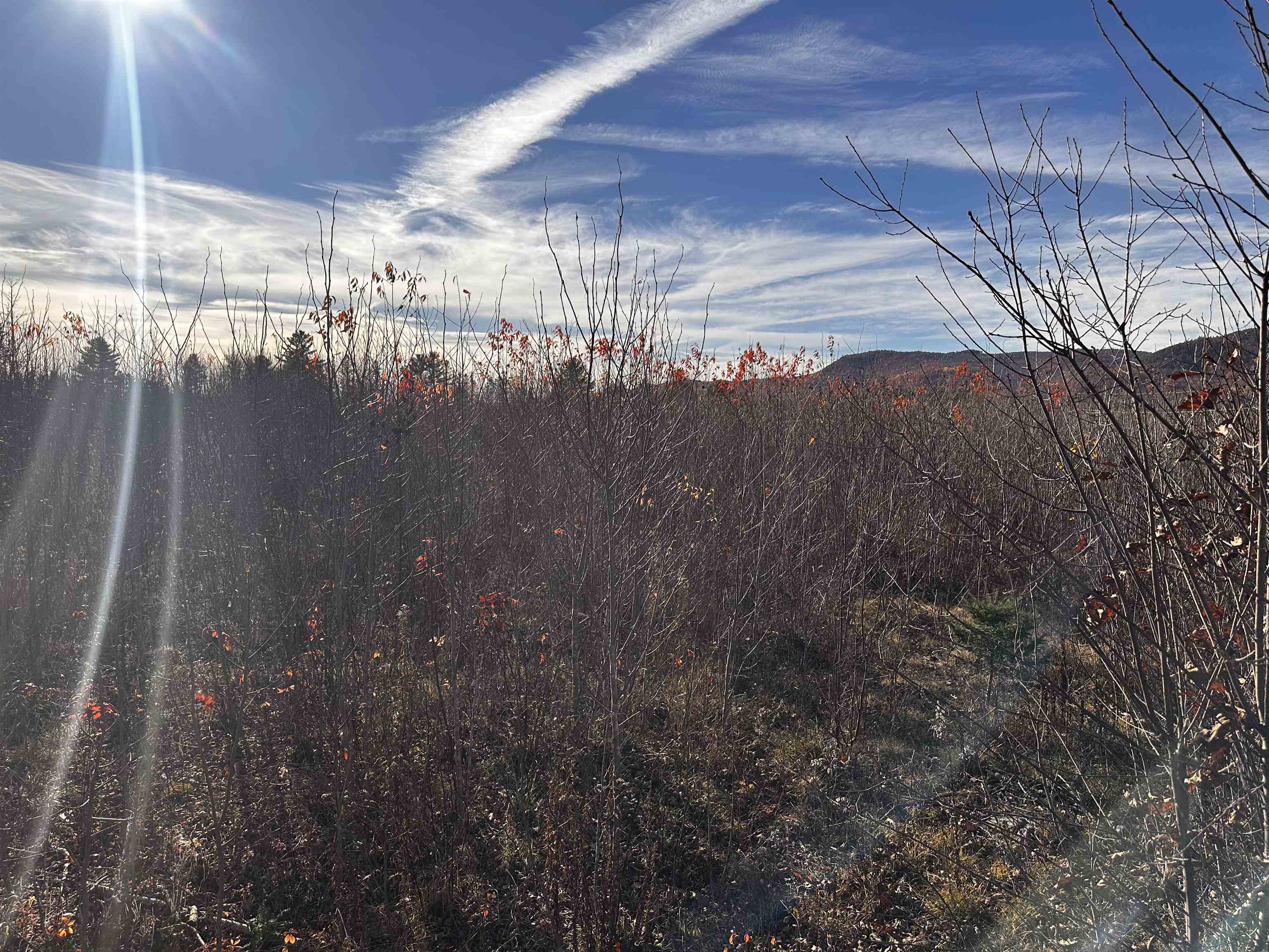 Tbd Mcintyre Road, Unit 7 Dalton, NH 03598 - Photo 12 of 24