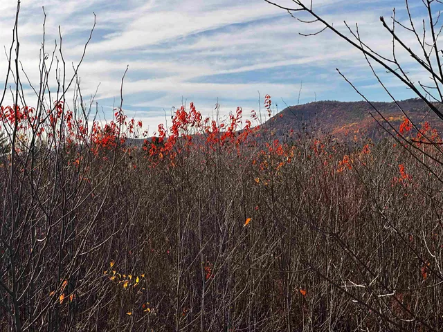 $129,000 | Tbd Mcintyre Road, Unit 7, Dalton, NH 03598