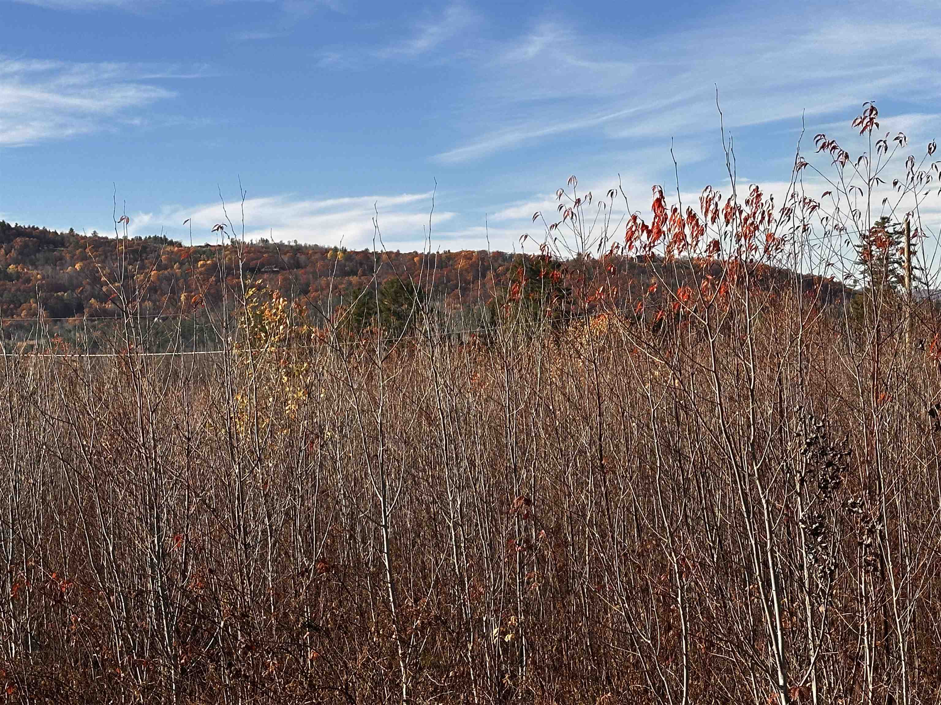 Tbd Mcintyre Road, Unit 7 Dalton, NH 03598 - Photo 14 of 24