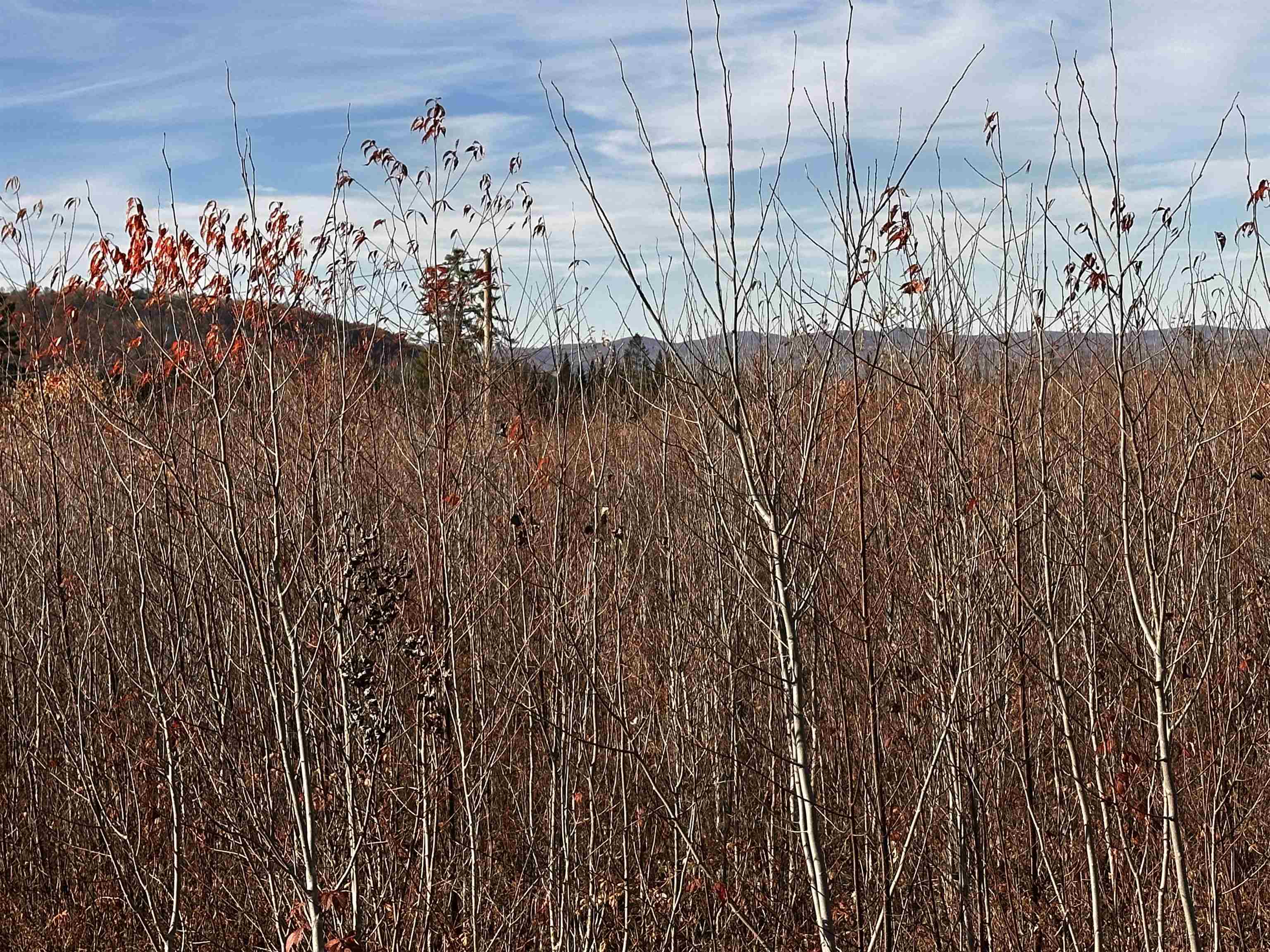 Tbd Mcintyre Road, Unit 7 Dalton, NH 03598 - Photo 15 of 24