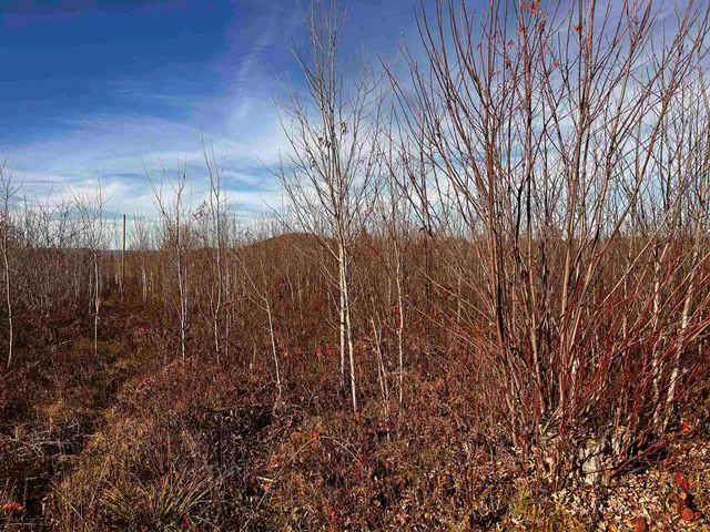 $129,000 | Tbd Mcintyre Road, Unit 7, Dalton, NH 03598