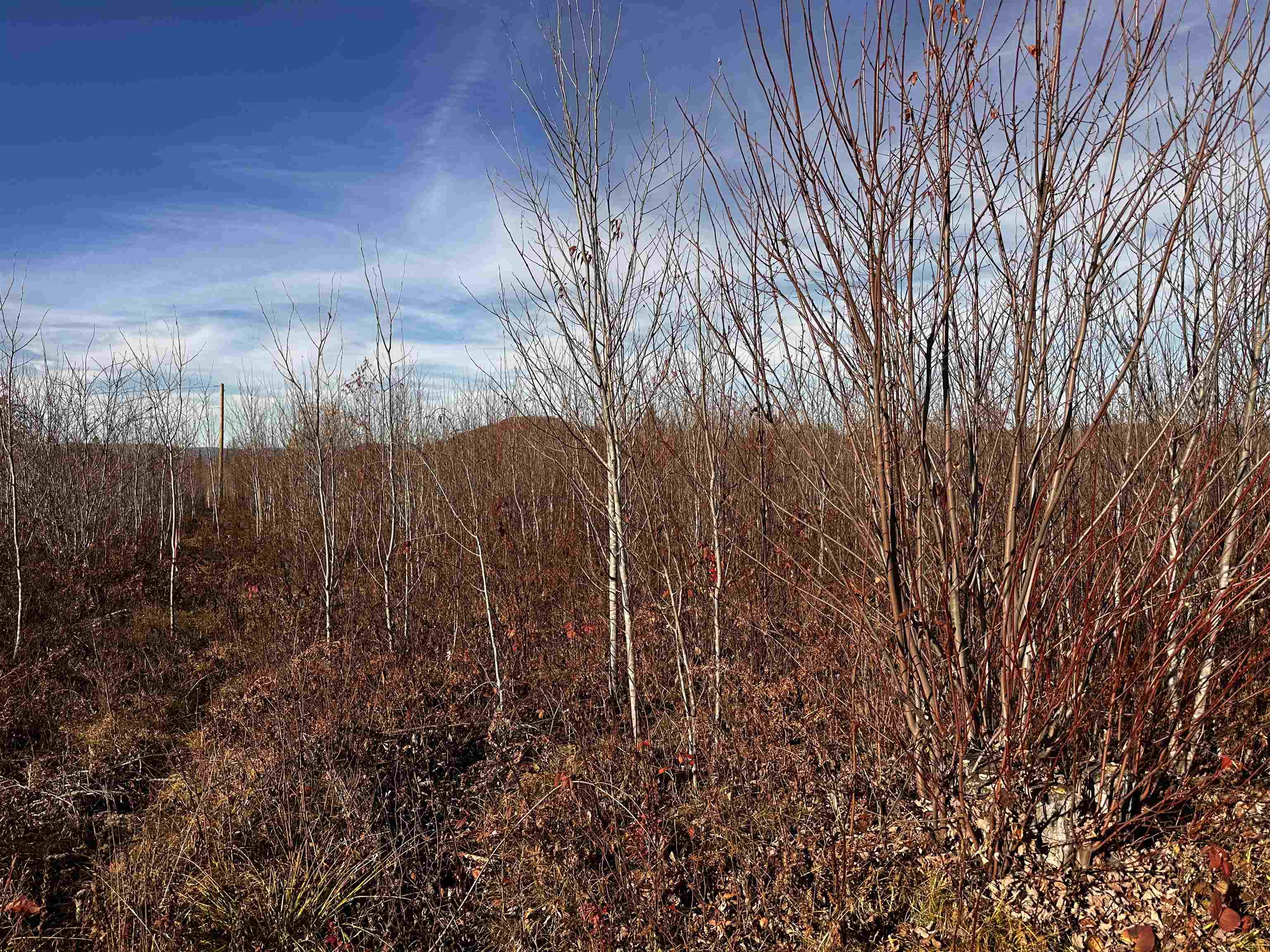 Tbd Mcintyre Road, Unit 7 Dalton, NH 03598 - Photo 20 of 24