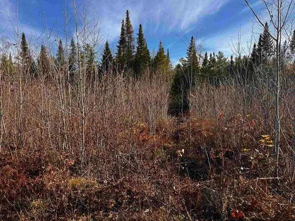 $129,000 | Tbd Mcintyre Road, Unit 7, Dalton, NH 03598