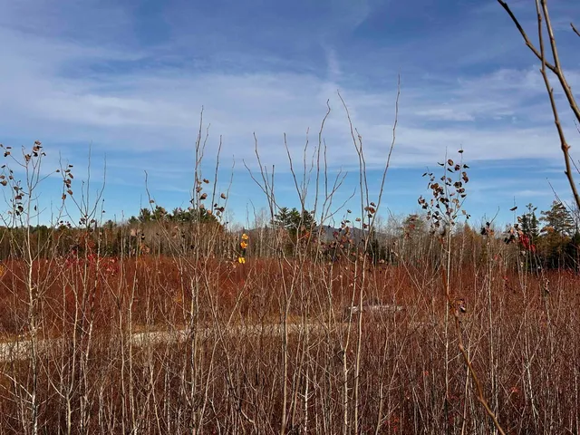 $129,000 | Tbd Mcintyre Road, Unit 7, Dalton, NH 03598