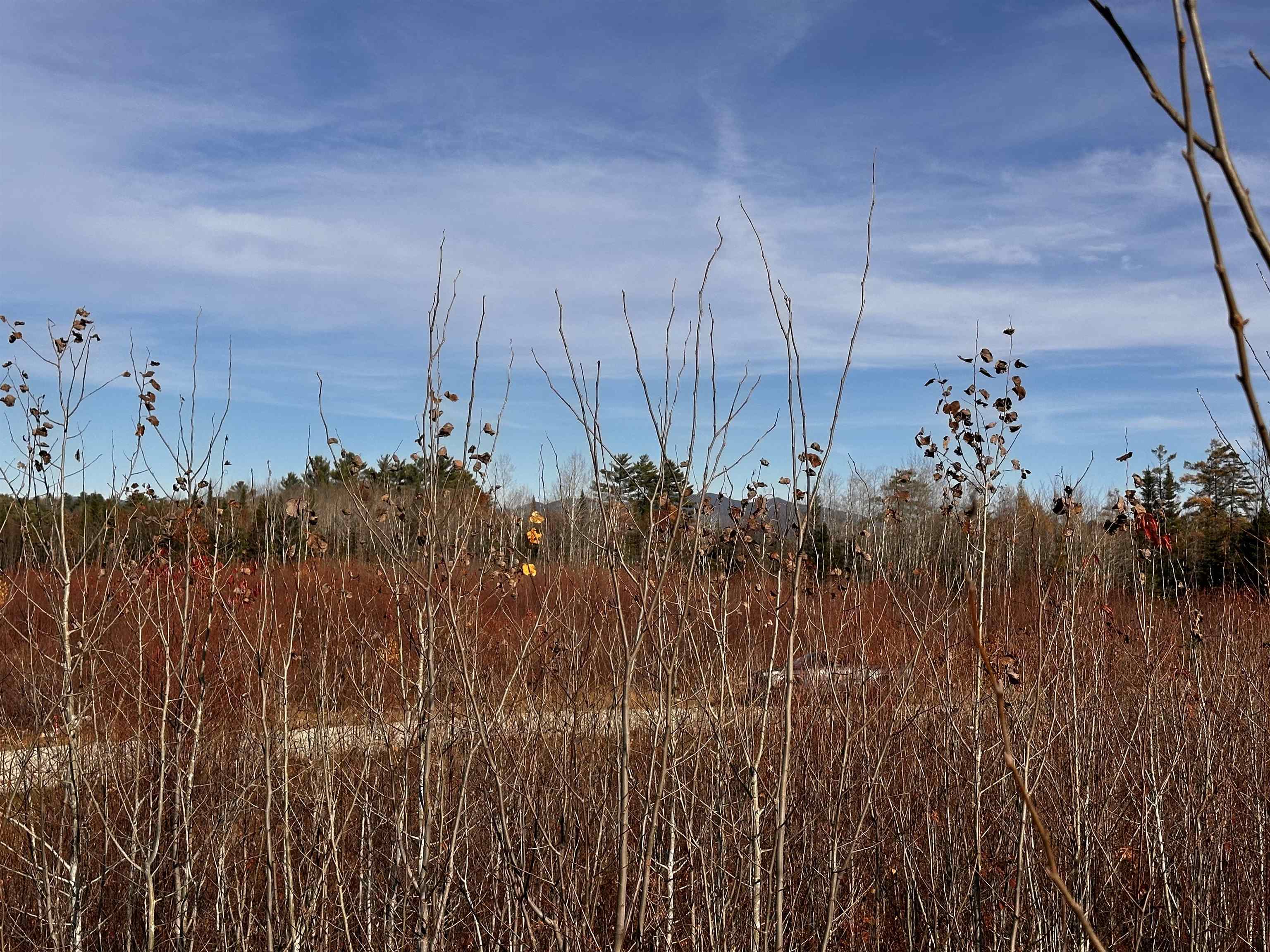 Tbd Mcintyre Road, Unit 7 Dalton, NH 03598 - Photo 7 of 24