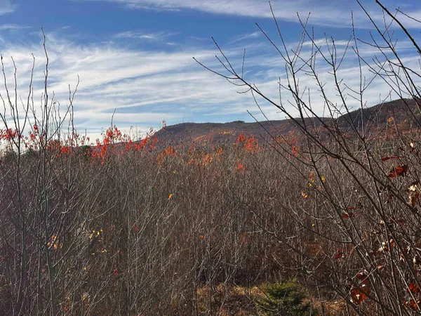 $129,000 | Tbd Mcintyre Road, Unit 7, Dalton, NH 03598