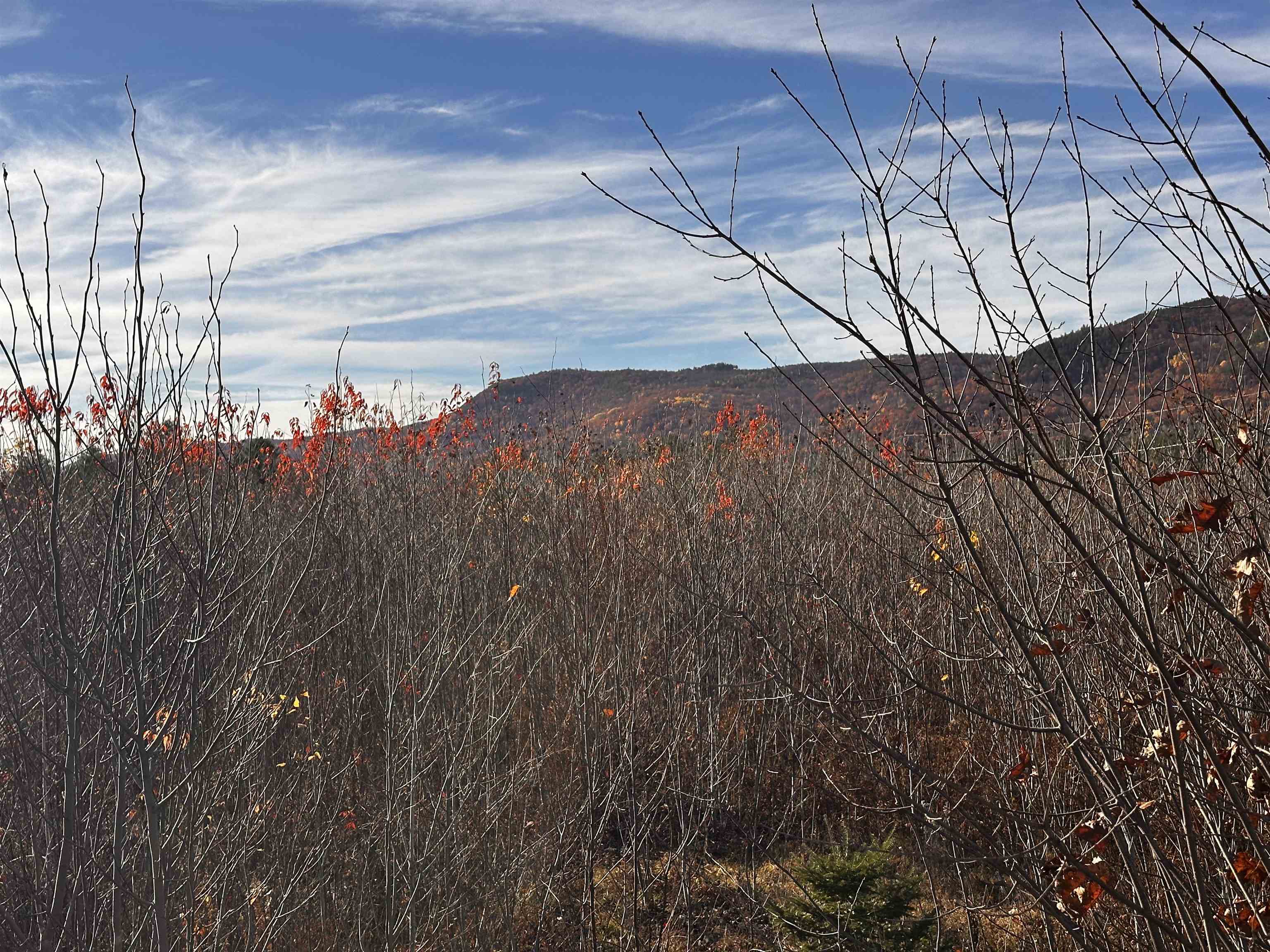 Tbd Mcintyre Road, Unit 7 Dalton, NH 03598 - Photo 10 of 24