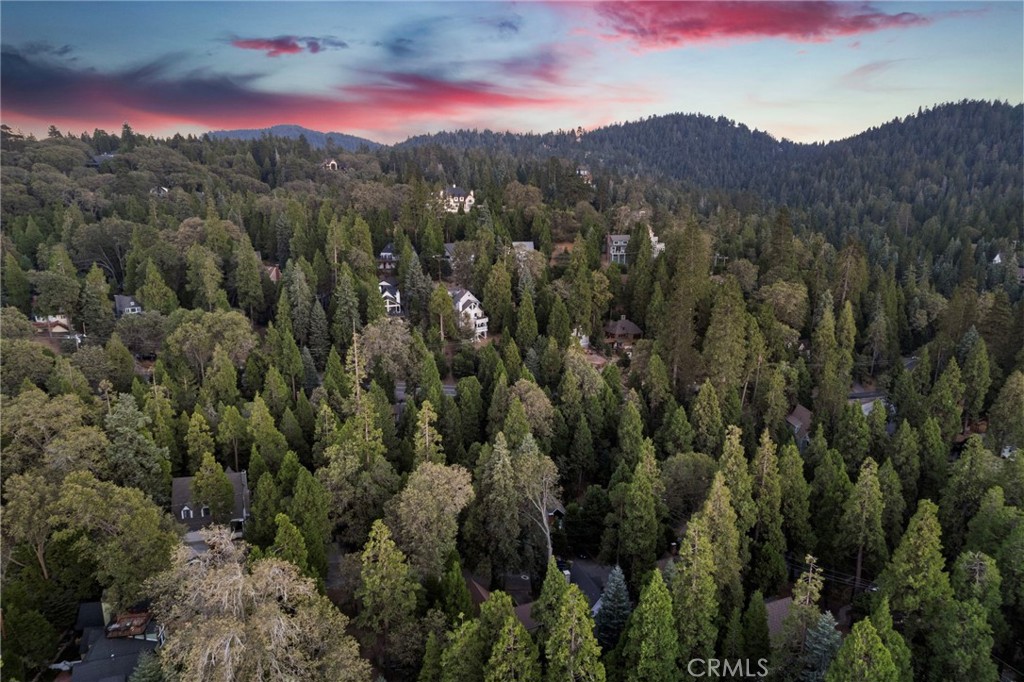 150 Marshall Road Lake Arrowhead, CA 92352 - Photo 59 of 59 Gallery Image 59
