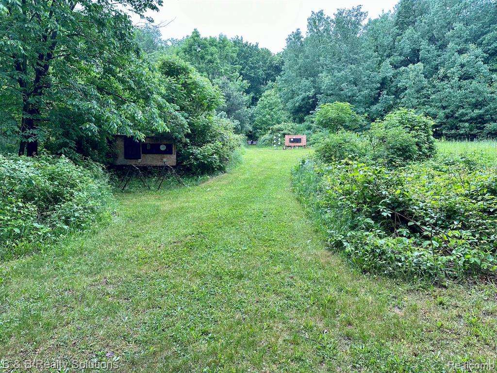 0 South Lake Pleasant Road Metamora, MI 48455 - Photo 12 of 32
