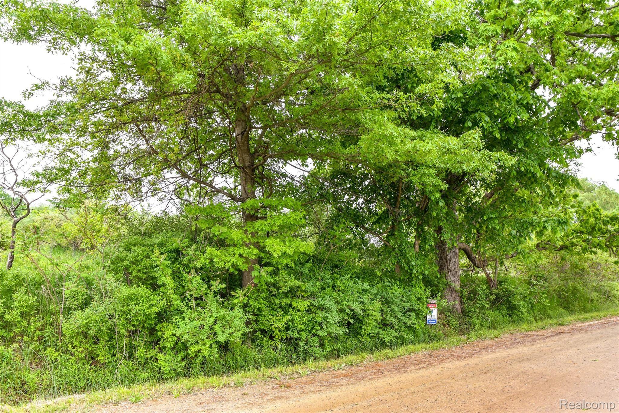 0 Thomas Road Metamora, MI 48455 - Photo 12 of 30 Thomas Road by WCB (12).jpg