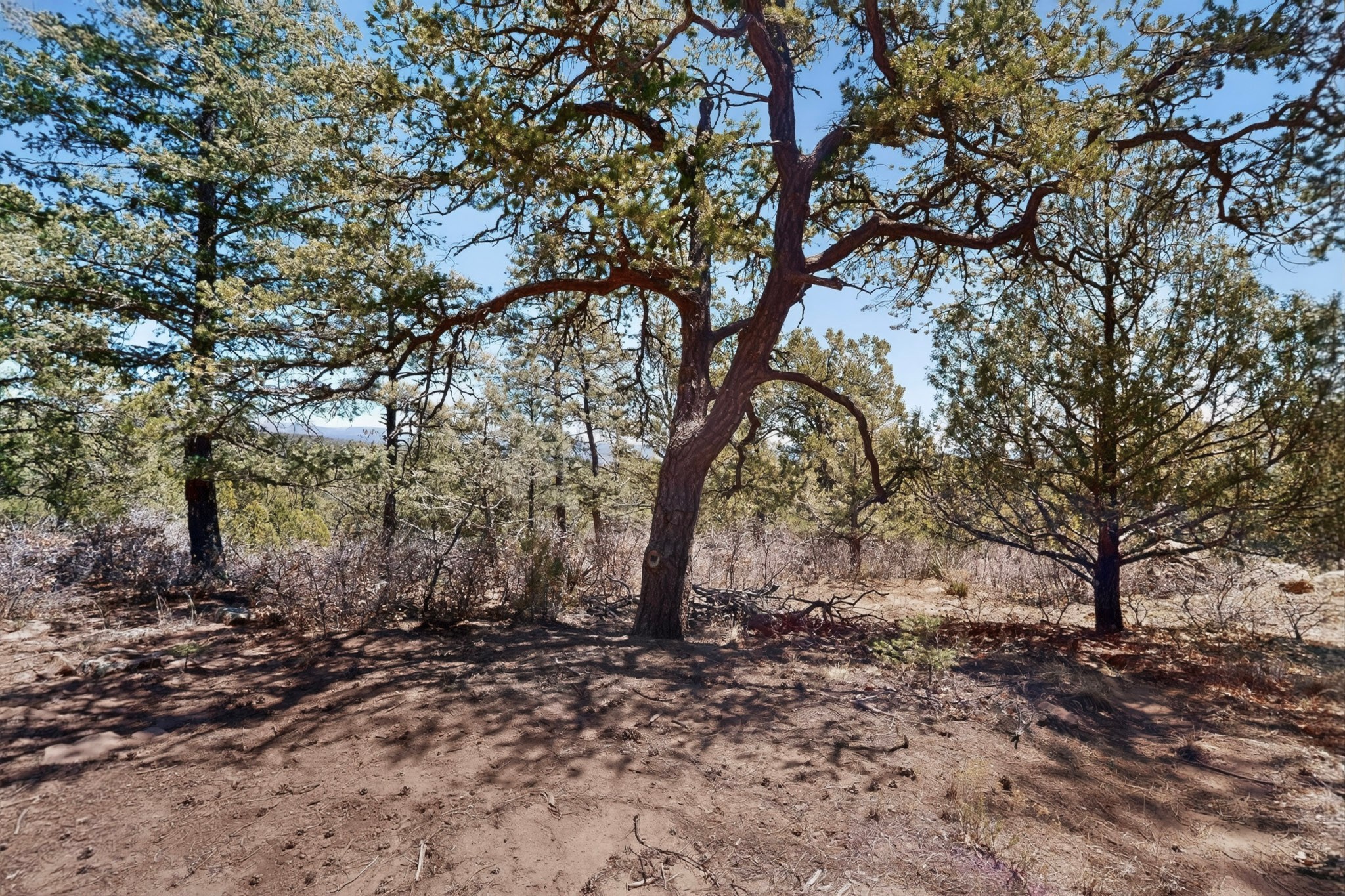 30 Monte La Cueva Road Glorieta, NM 87535 - Photo 87 of 91