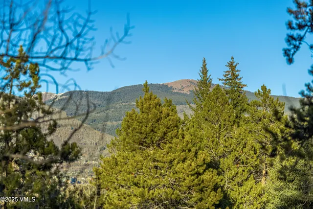 a view of a house with a tree