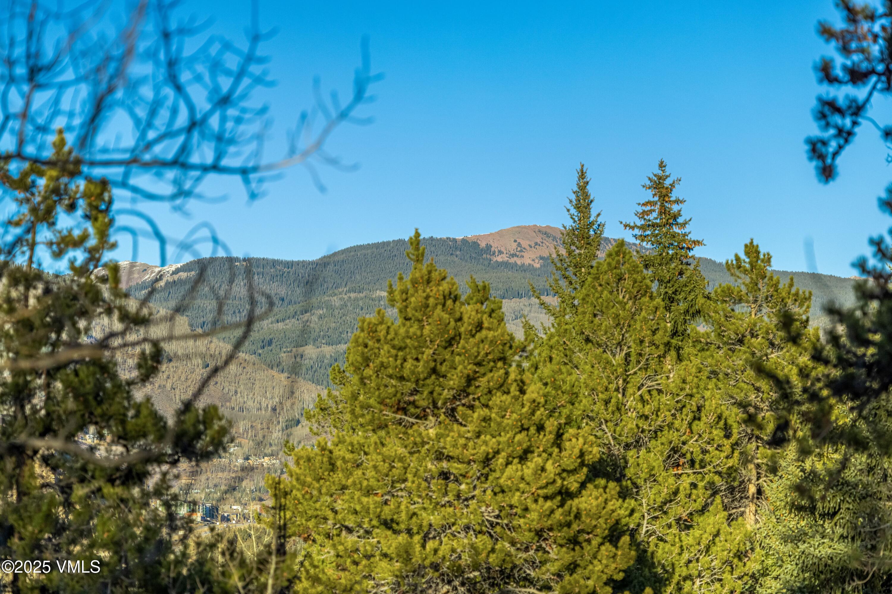 3001 Basingdale Boulevard Vail, CO 81657 - Photo 49 of 54 49