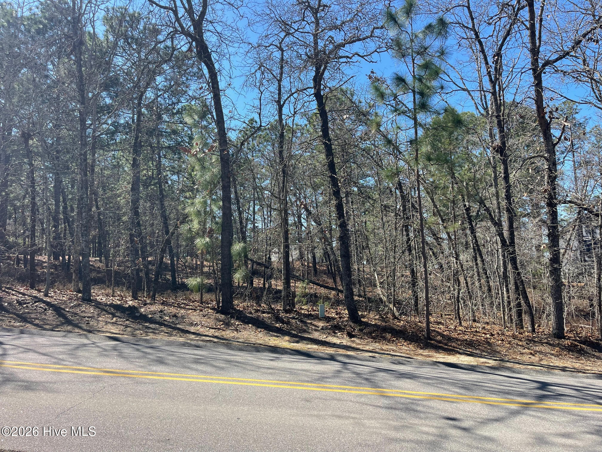 445 Longleaf Drive West End, NC 27376 - Photo 2 of 16 unnamed (2)