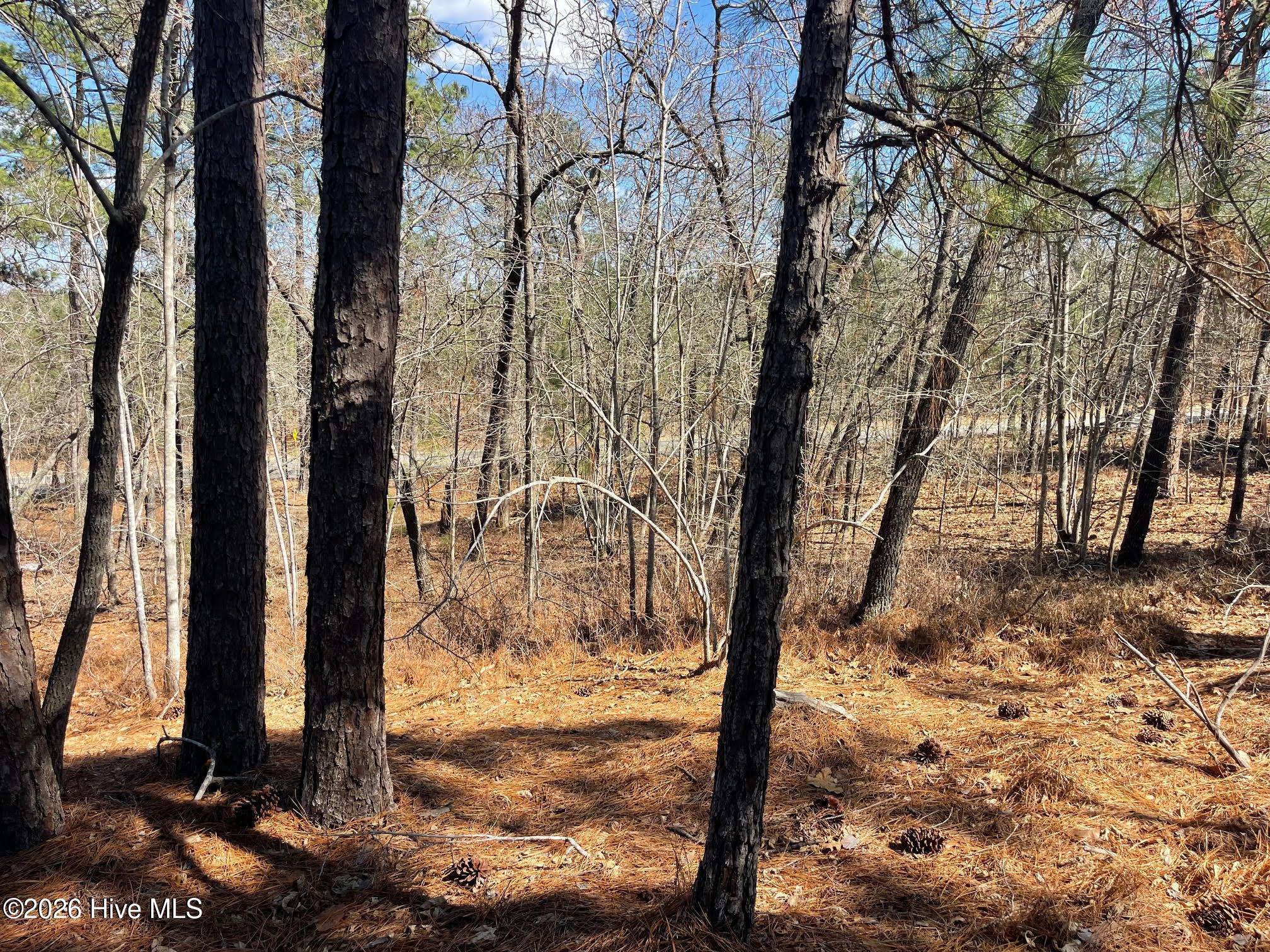 445 Longleaf Drive West End, NC 27376 - Photo 3 of 16 unnamed