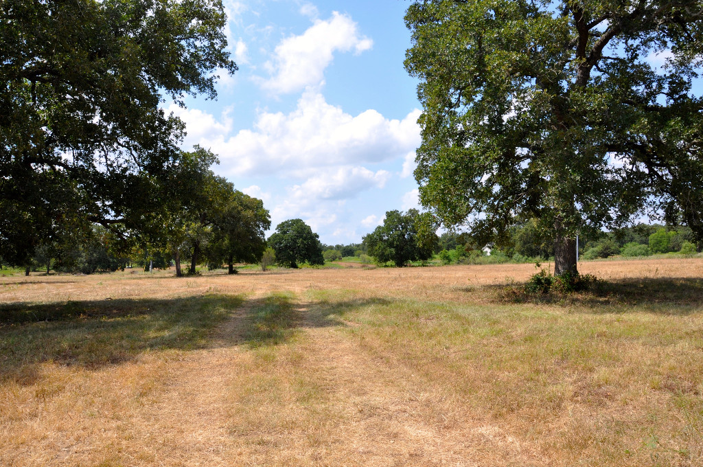 4919 Harold Road Waelder, TX 78959 - Photo 1 of 1 Gallery Image 1