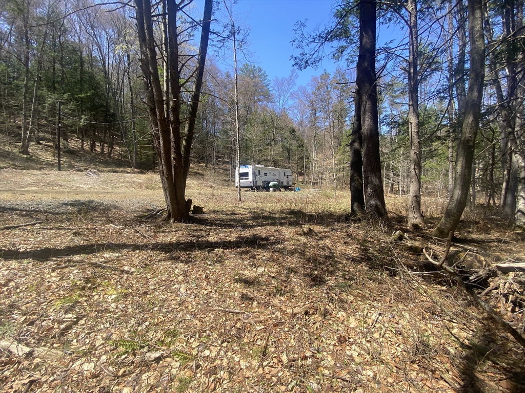 0 Schaefer Way Charlemont, MA 01339 - Photo 1 of 16 a view of a backyard with large trees
