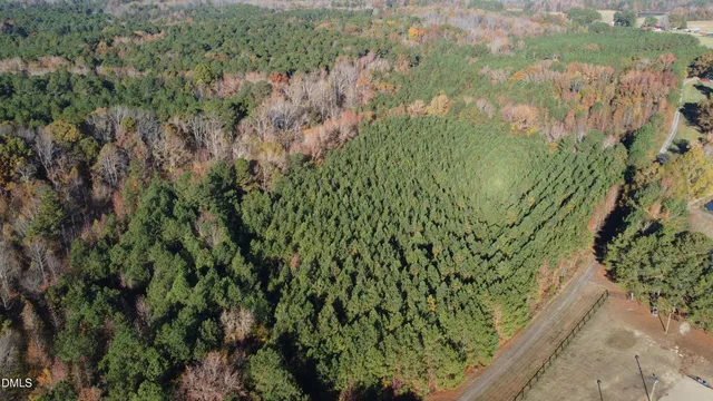 a view of a garden with a plant