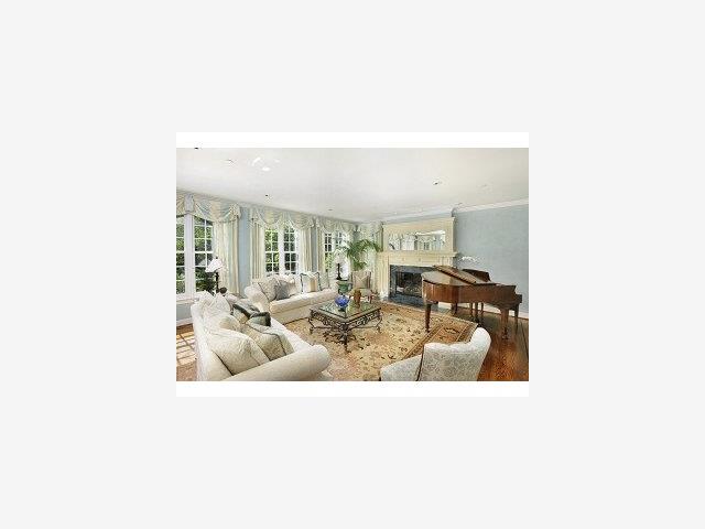 100 Bridge Road Hillsborough, CA 94010 - Photo 3 of 9 a living room with furniture and a potted plant