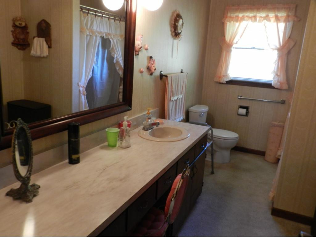 337 Wheelock Road Jonesborough, TN 37659 - Photo 8 of 20 Full Bath
