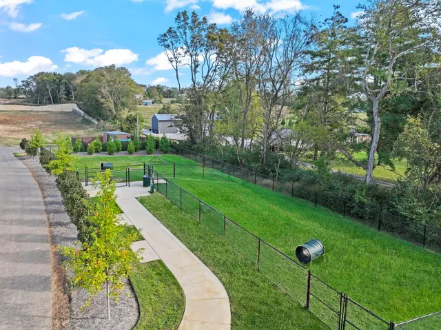 a view of a garden with lawn chairs