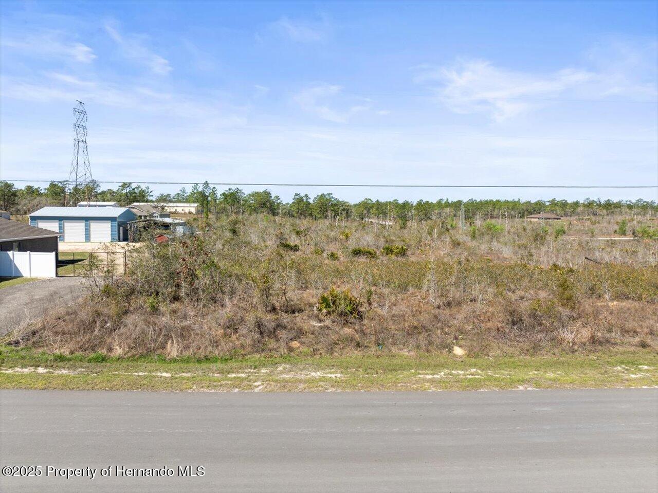 16203 Penn State Road Brooksville, FL 34614 - Photo 2 of 11