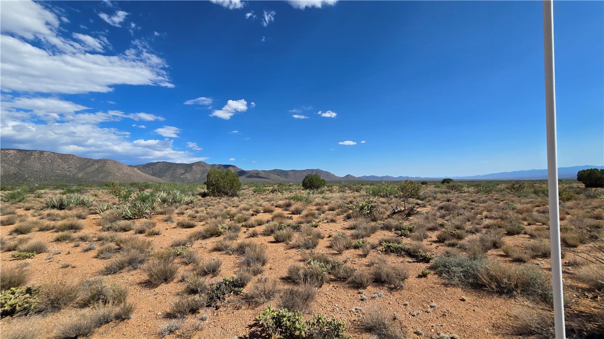 353-36-158 North Tyree Road Hackberry, AZ 86411 - Photo 6 of 19