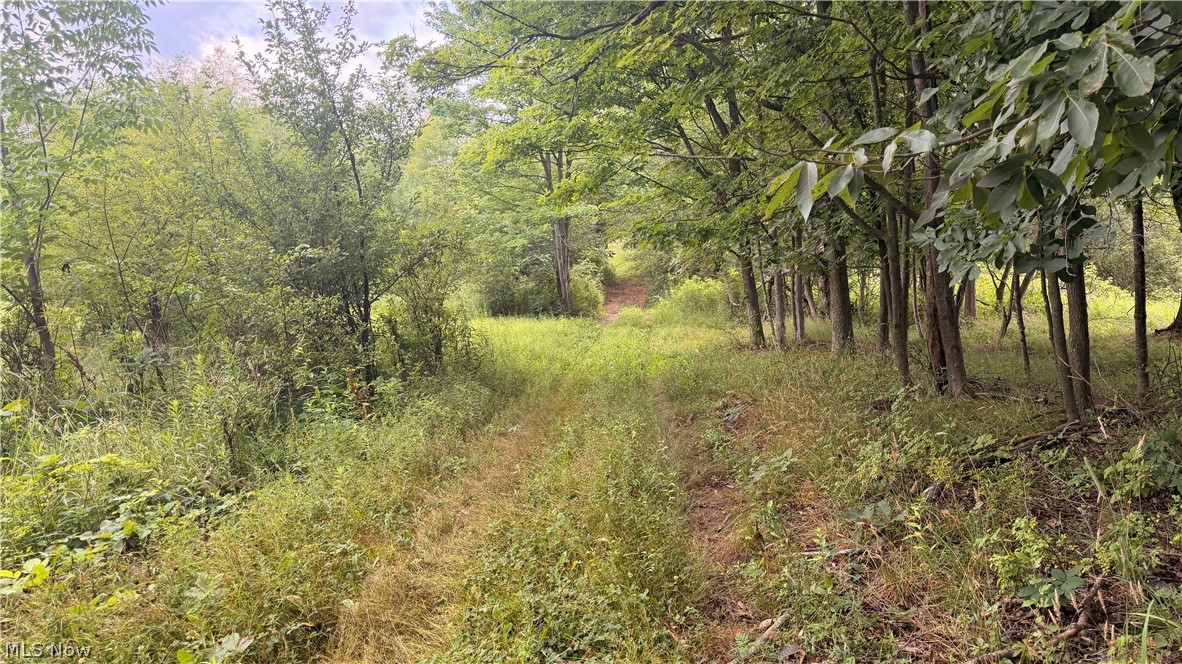 5201 Emerson Road Madison, OH 44057 - Photo 24 of 50