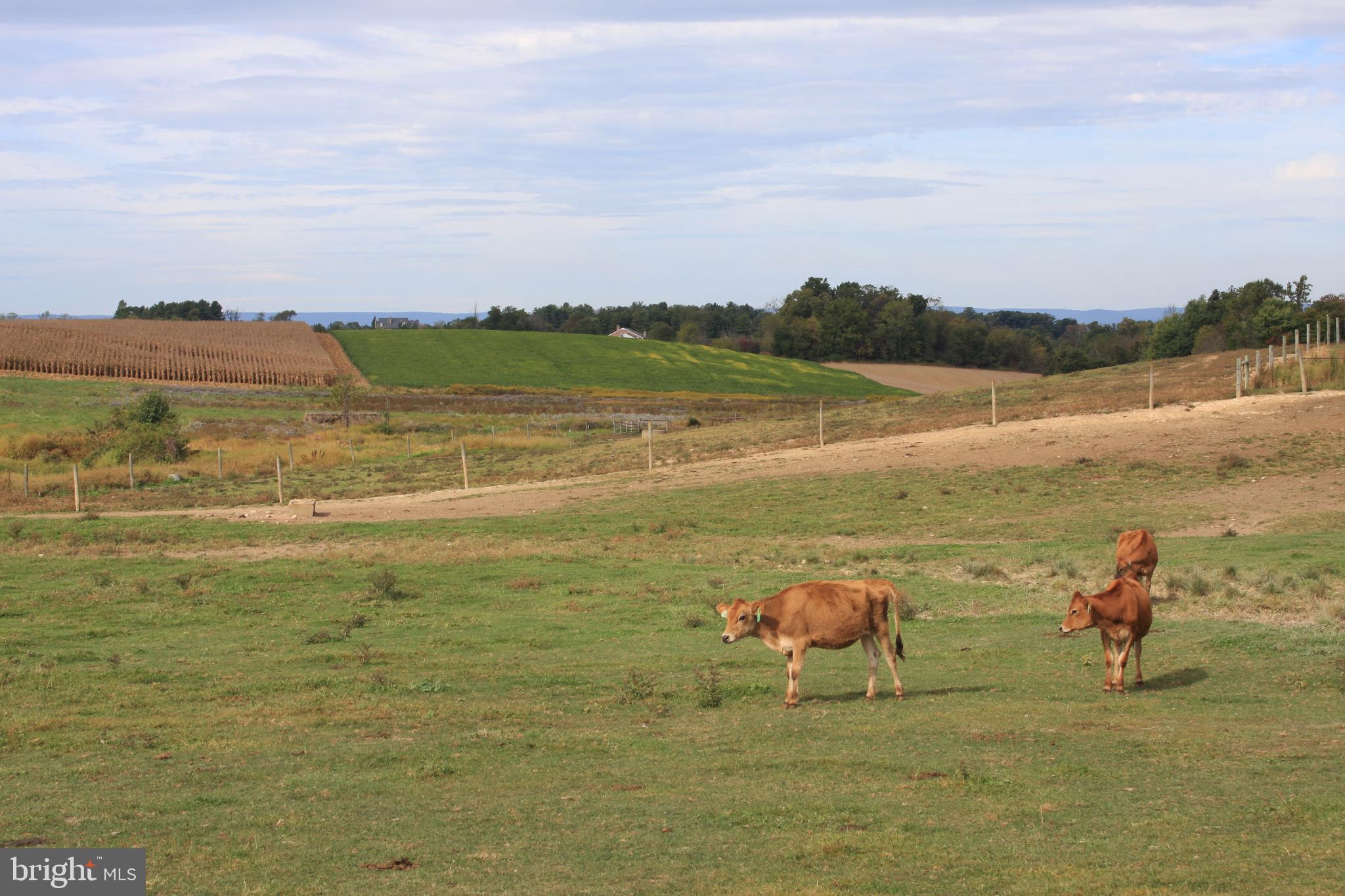 10968 Green Valley Road Union Bridge, MD 21791 - Photo 17 of 36