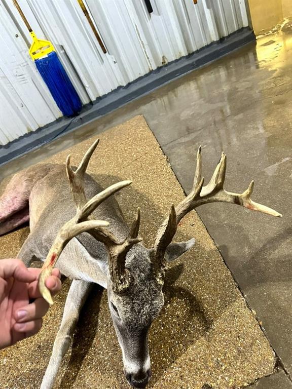 3 Talbert Ranch Road China Spring, TX 76633 - Photo 29 of 31