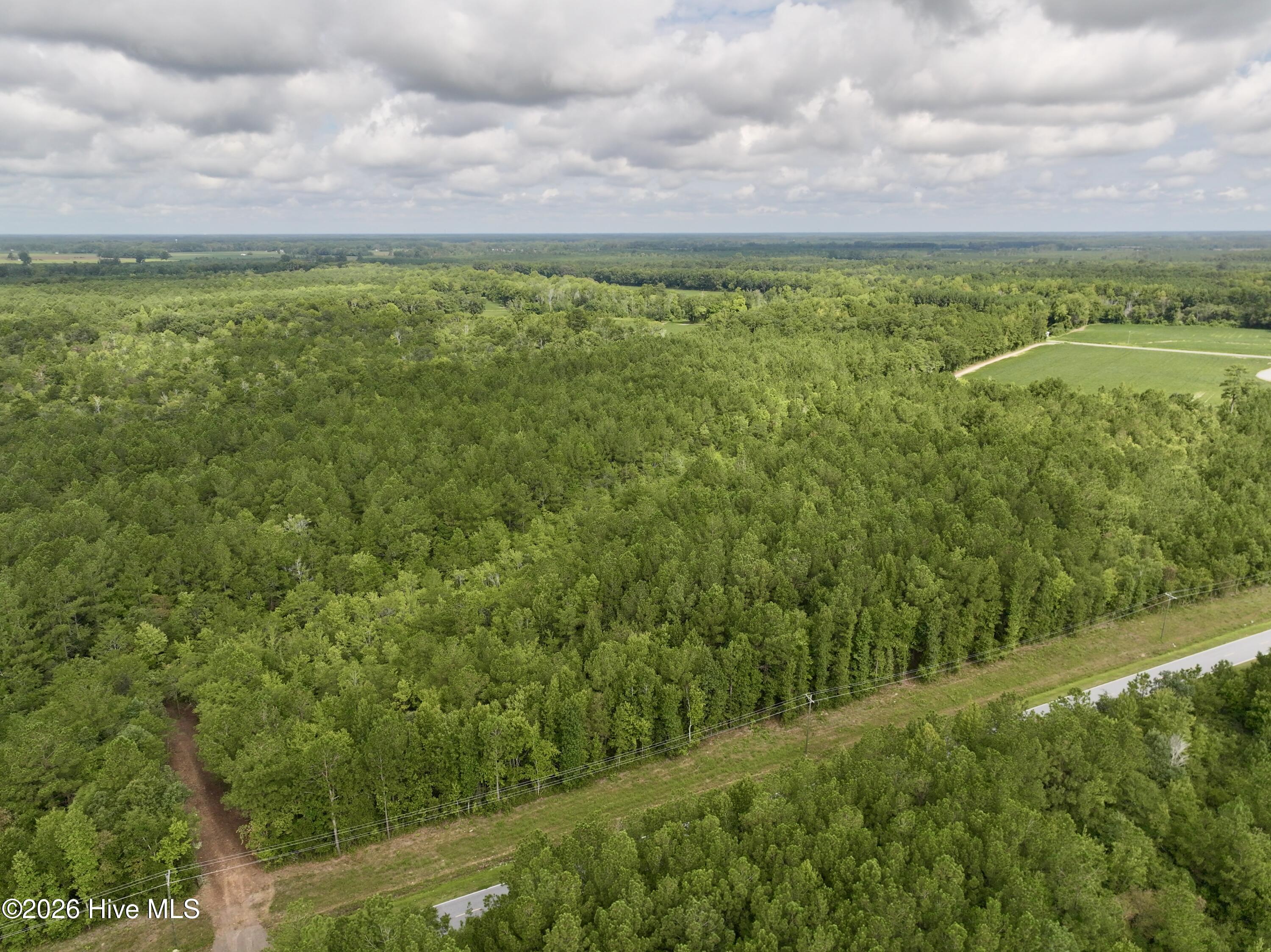 4 Cupelo Road Walstonburg, NC 27888 - Photo 2 of 16 Gallery Image 2