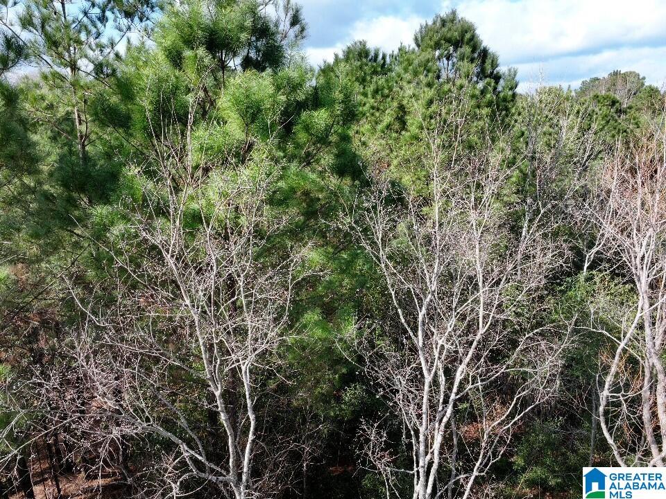 0 North University Boulevard Mobile, AL 36613 - Photo 10 of 11