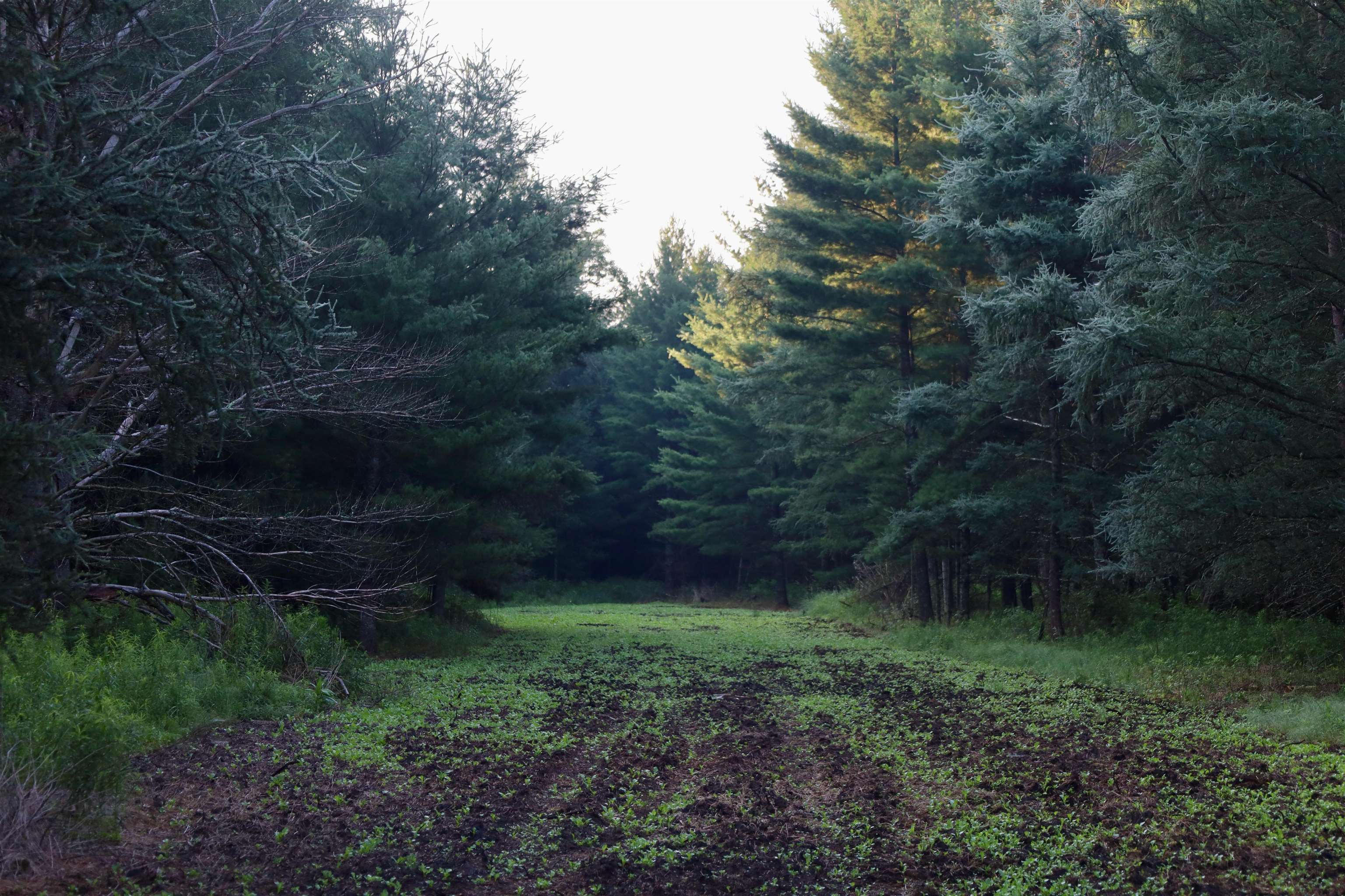 0 17th Montello, WI 53949 - Photo 24 of 30