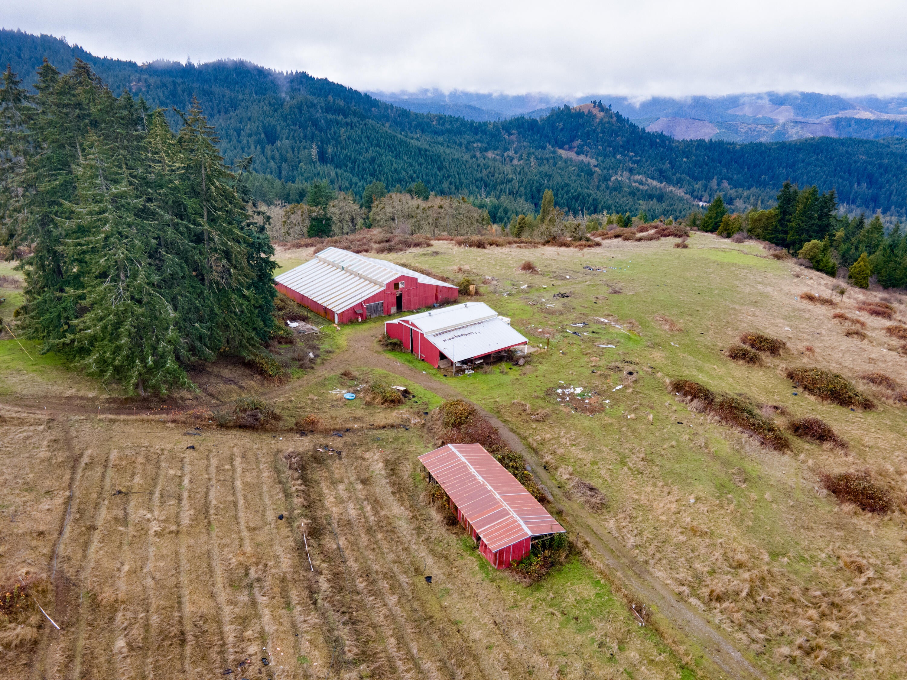 3017 Boomer Hill Road Myrtle Creek, OR 97457 - Photo 4 of 53 3017 Boomer Hill Rd - Drone-5