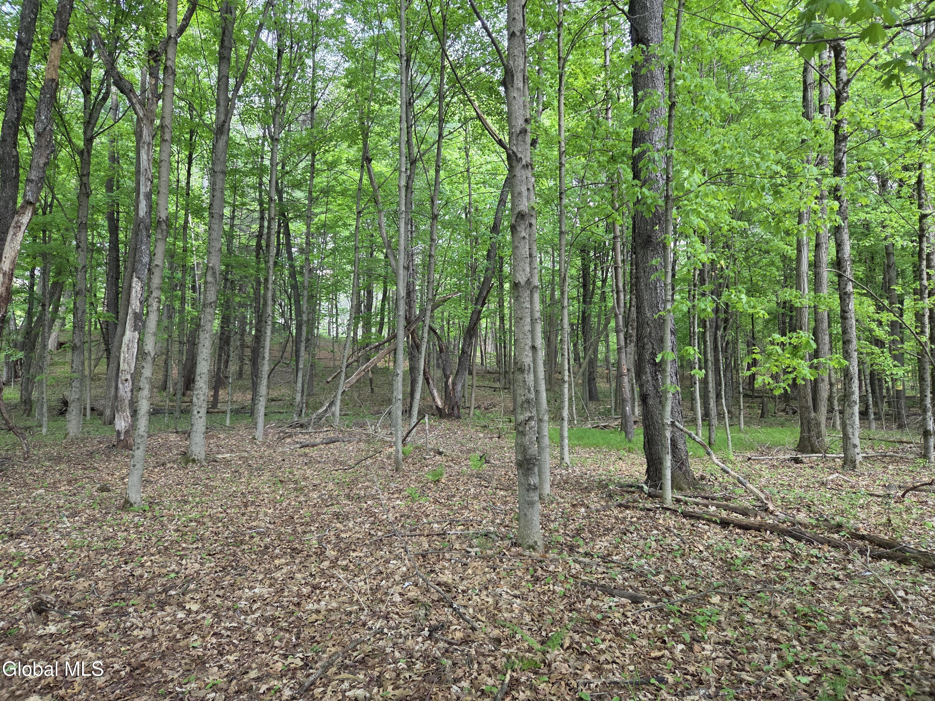 410 Middle Grove Road Middle Grove, NY 12850 - Photo 8 of 49 20260518_150339