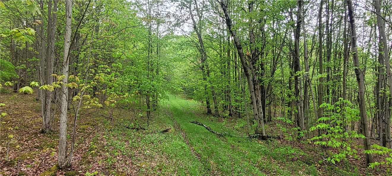 0 Thayer Road Erin, NY 14838 - Photo 11 of 26