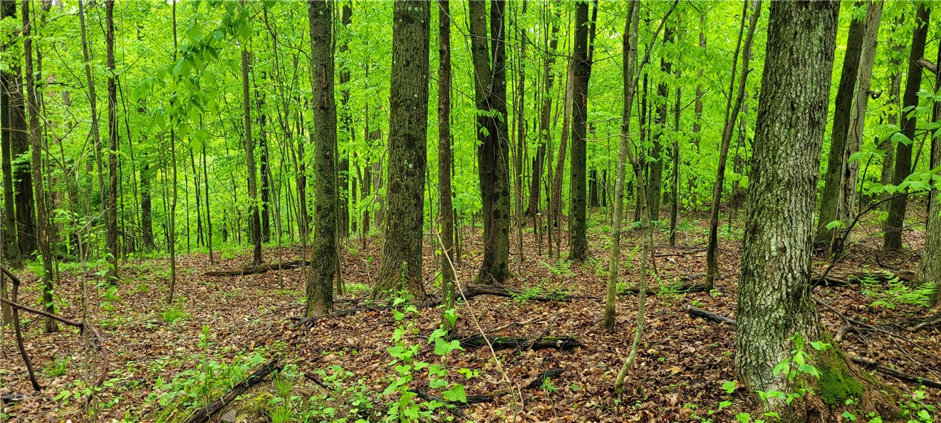 0 Thayer Road Erin, NY 14838 - Photo 20 of 26