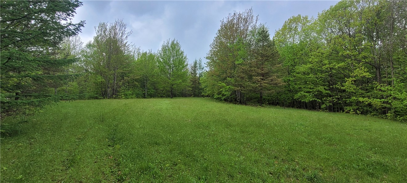 0 Thayer Road Erin, NY 14838 - Photo 2 of 26